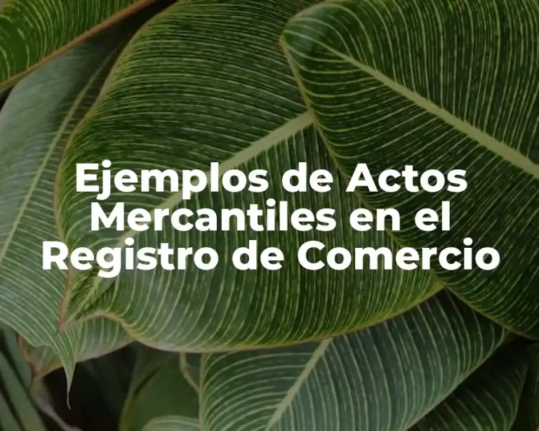 Ejemplos de Actos Mercantiles en el Registro de Comercio