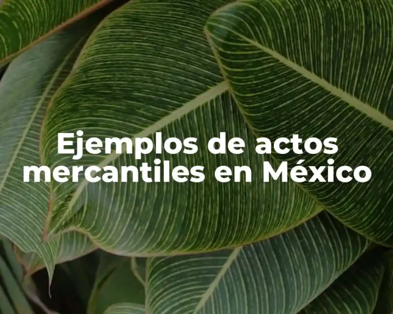 Ejemplos de actos mercantiles en México