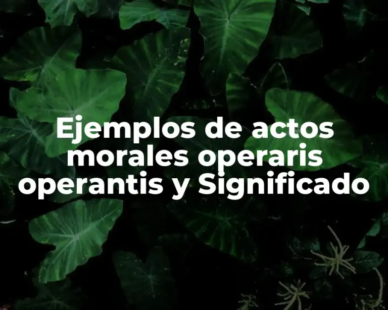 Ejemplos de actos morales operaris operantis y Significado