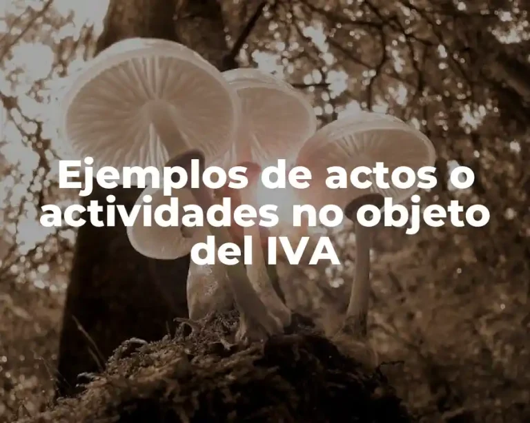 Ejemplos de actos o actividades no objeto del IVA