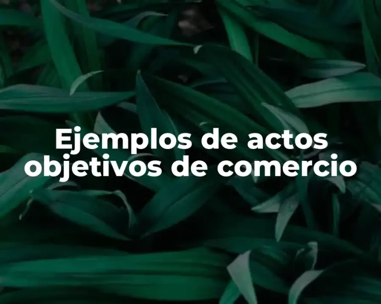 Ejemplos de actos objetivos de comercio