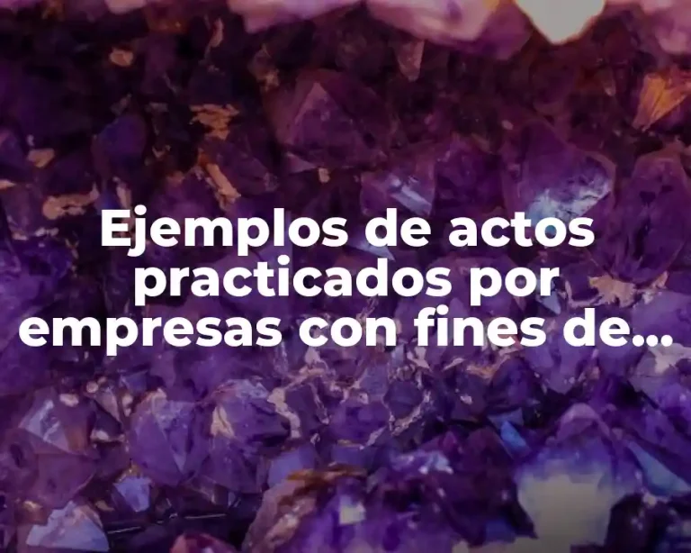Ejemplos de actos practicados por empresas con fines de lucro
