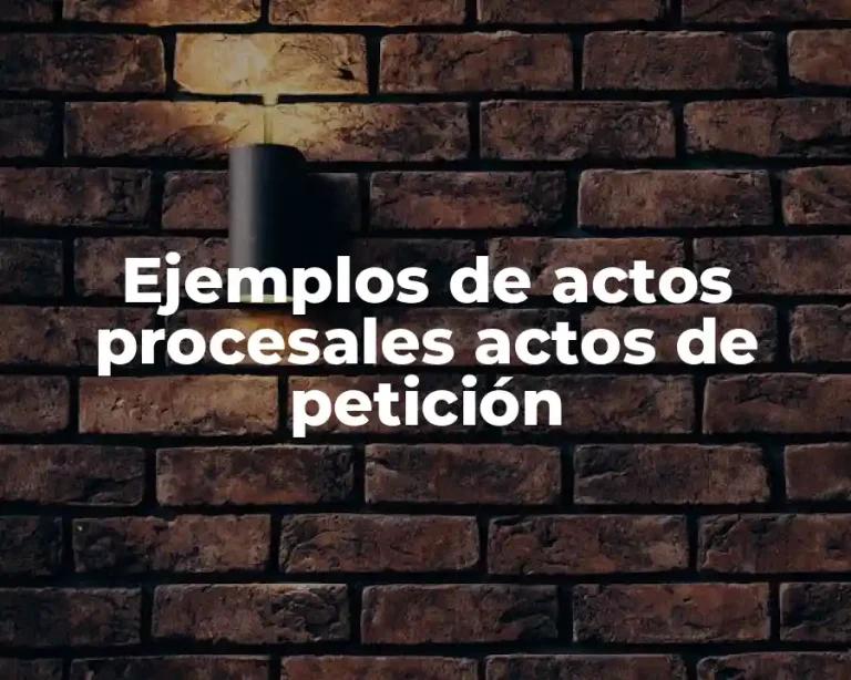 Ejemplos de actos procesales actos de petición