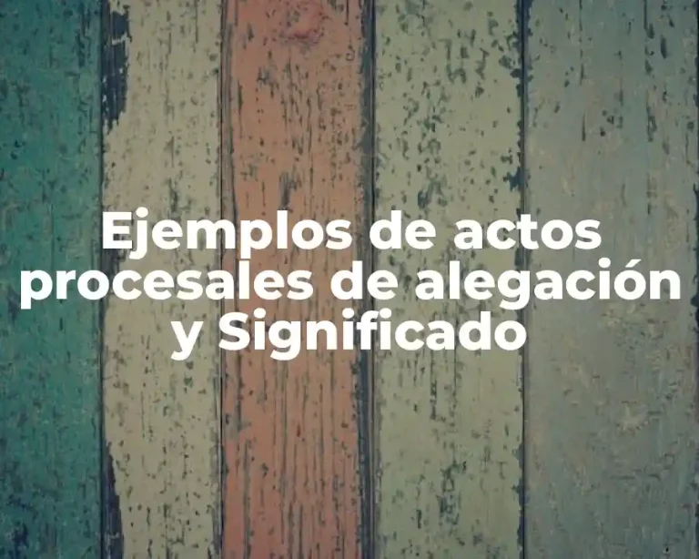 Ejemplos de actos procesales de alegación y Significado