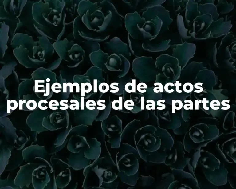 Ejemplos de actos procesales de las partes