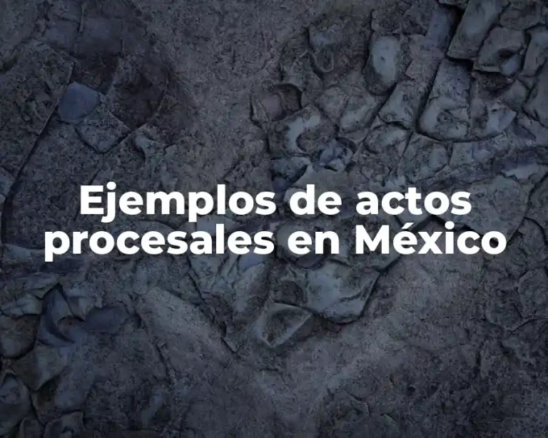 Ejemplos de actos procesales en México