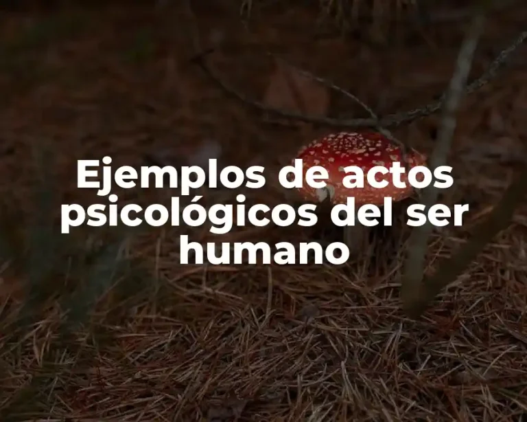 Ejemplos de actos psicológicos del ser humano