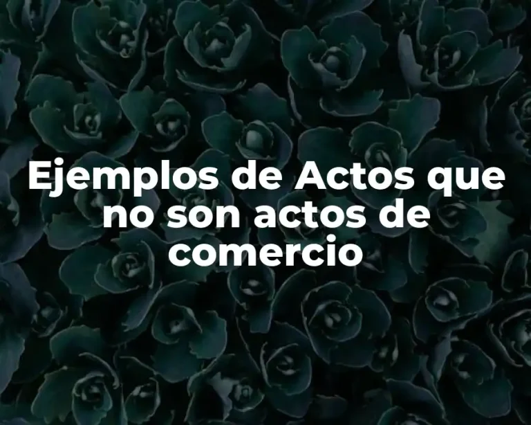 Ejemplos de Actos que no son actos de comercio
