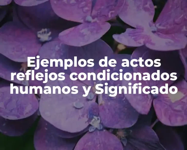 Ejemplos de actos reflejos condicionados humanos y Significado