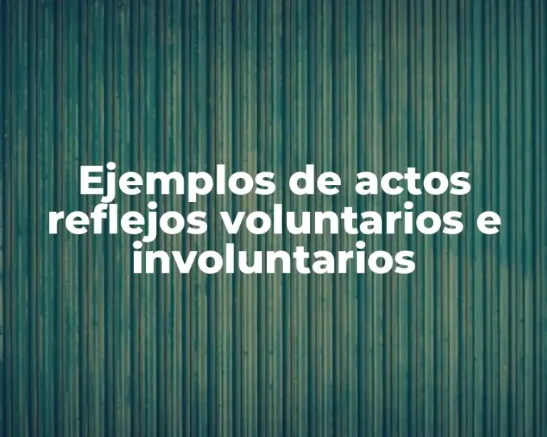 Ejemplos de actos reflejos voluntarios e involuntarios