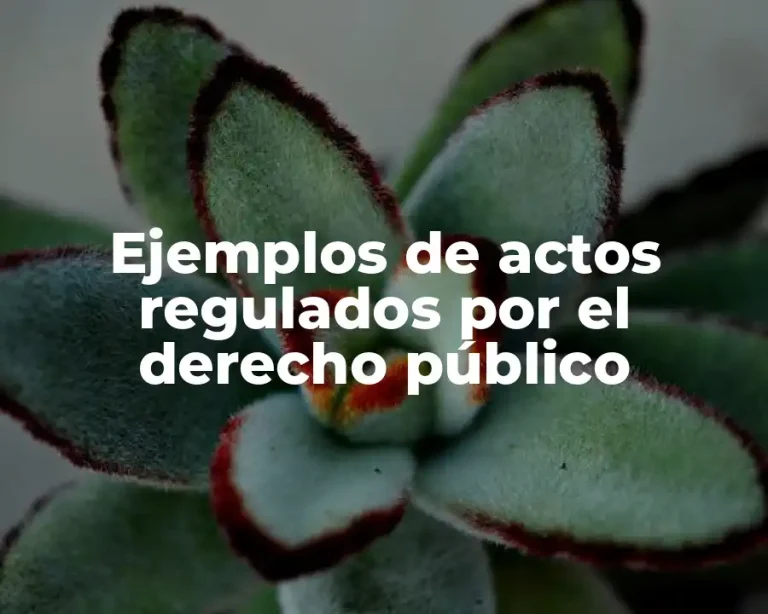 Ejemplos de actos regulados por el derecho público