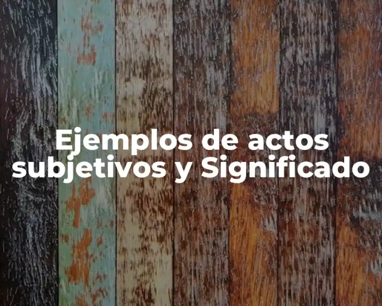 Ejemplos de actos subjetivos y Significado