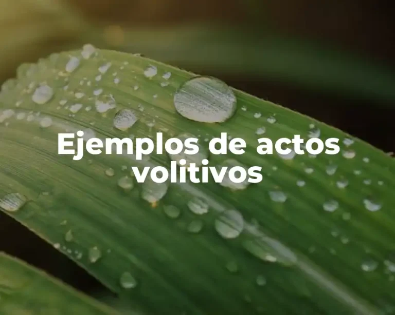 Ejemplos de actos volitivos