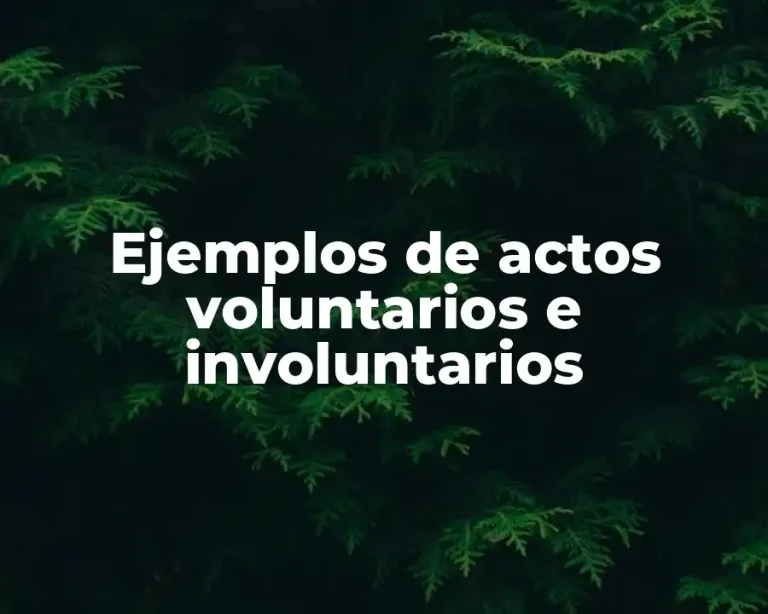 Ejemplos de actos voluntarios e involuntarios