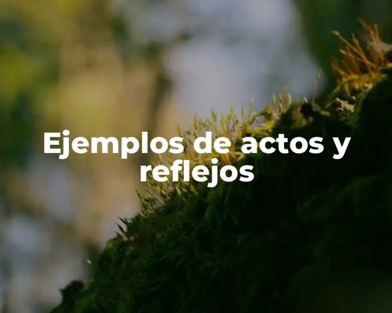 Ejemplos de actos y reflejos