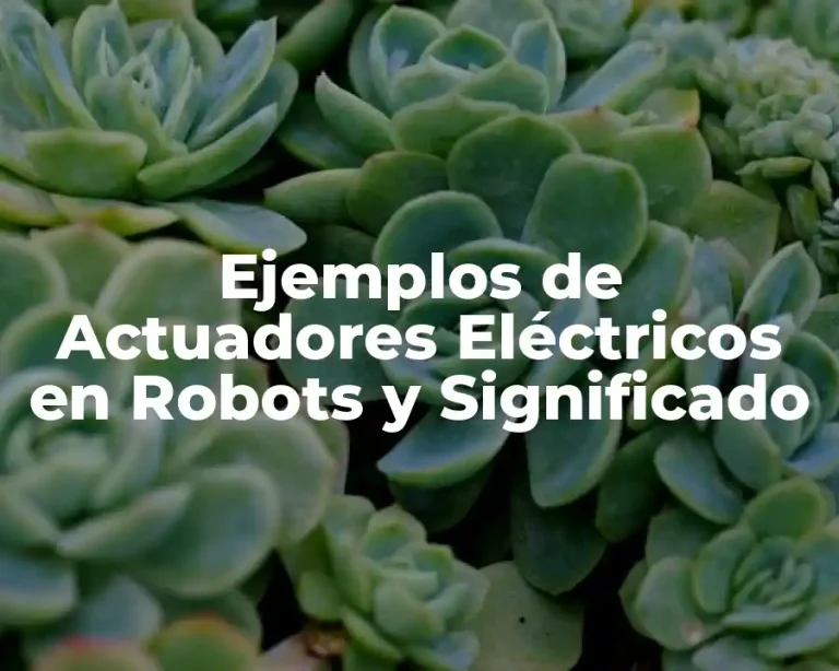 Ejemplos de Actuadores Eléctricos en Robots y Significado