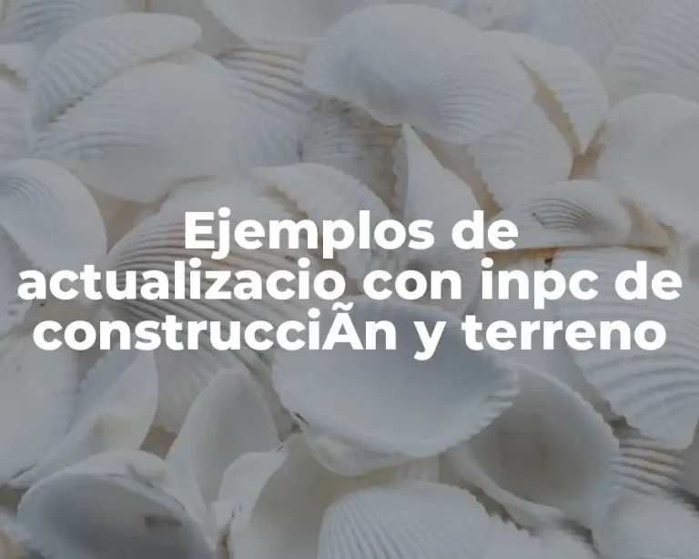 Ejemplos de actualizacio con inpc de construcciÃn y terreno