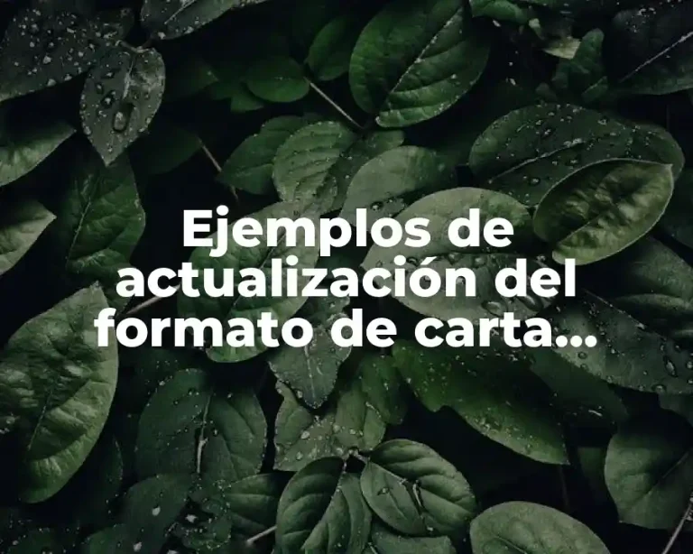 Ejemplos de actualización del formato de carta compromiso Pnce