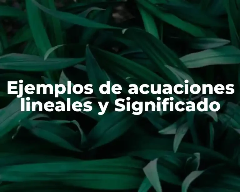Ejemplos de acuaciones lineales y Significado