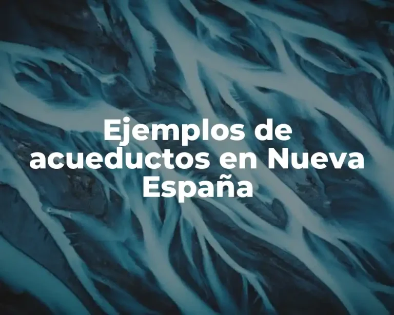 Ejemplos de acueductos en Nueva España