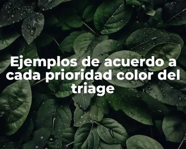 Ejemplos de acuerdo a cada prioridad color del triage
