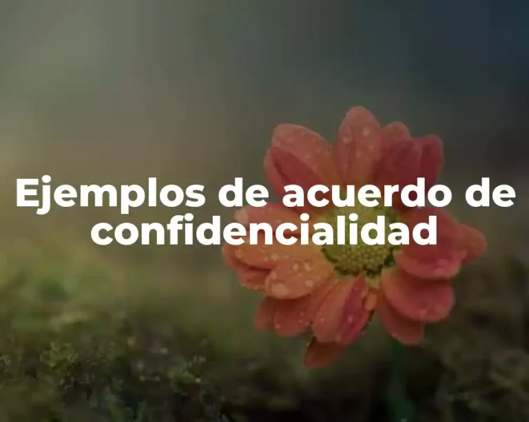 Ejemplos de acuerdo de confidencialidad