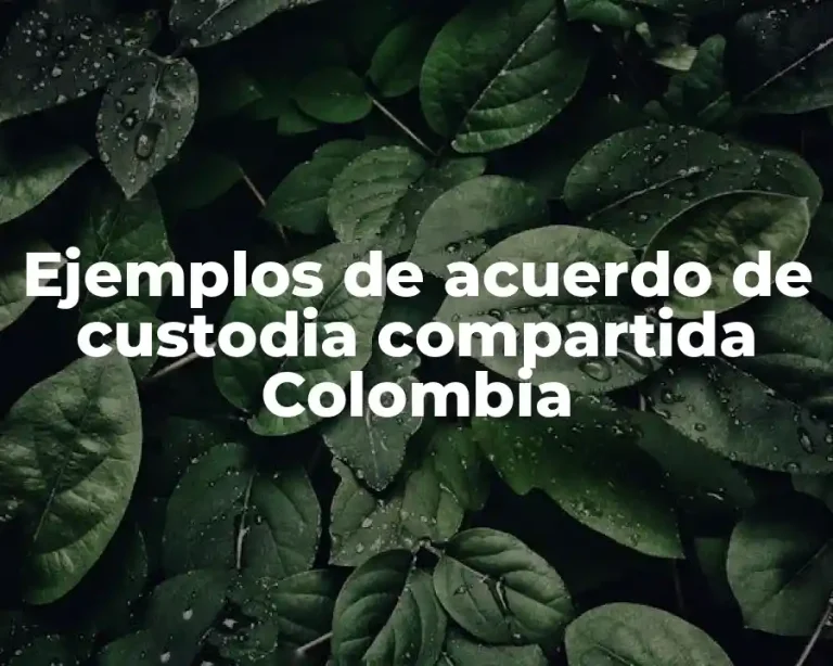 Ejemplos de acuerdo de custodia compartida Colombia