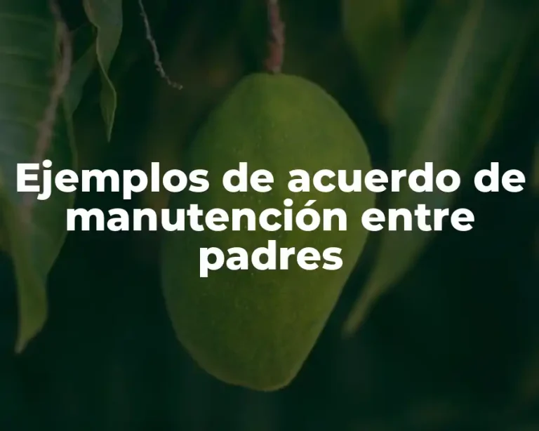Ejemplos de acuerdo de manutención entre padres