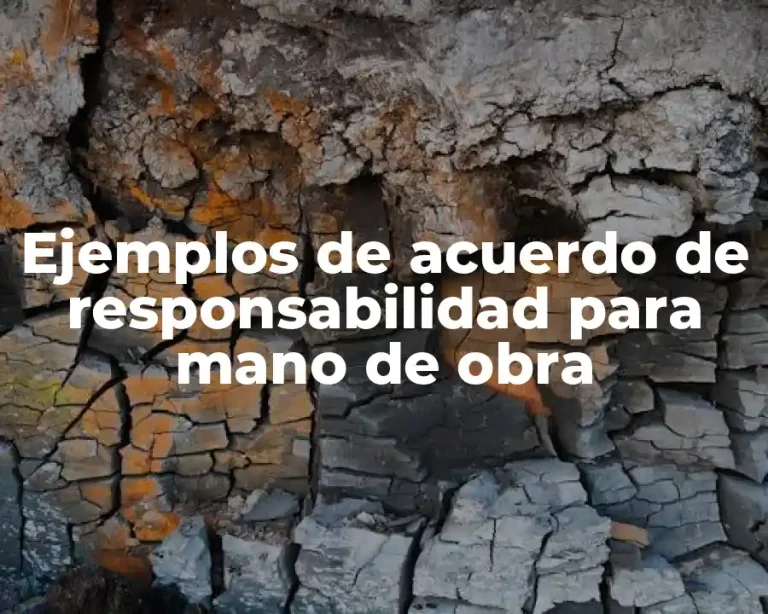Ejemplos de acuerdo de responsabilidad para mano de obra