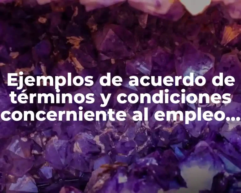 Ejemplos de acuerdo de términos y condiciones concerniente al empleo y Significado
