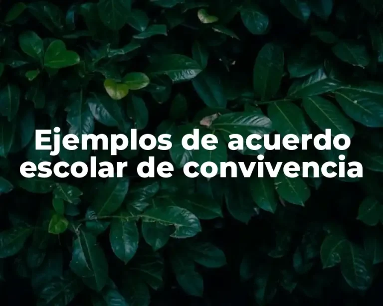 Ejemplos de acuerdo escolar de convivencia