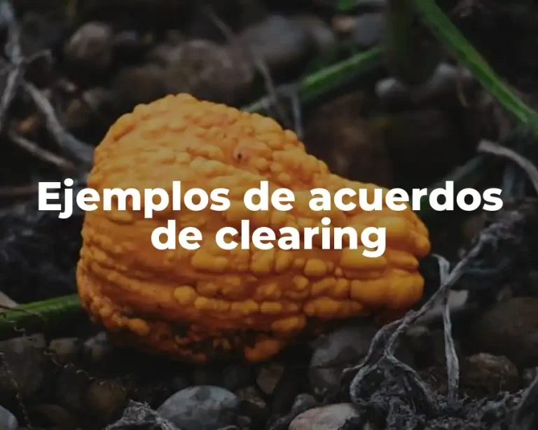 Ejemplos de acuerdos de clearing