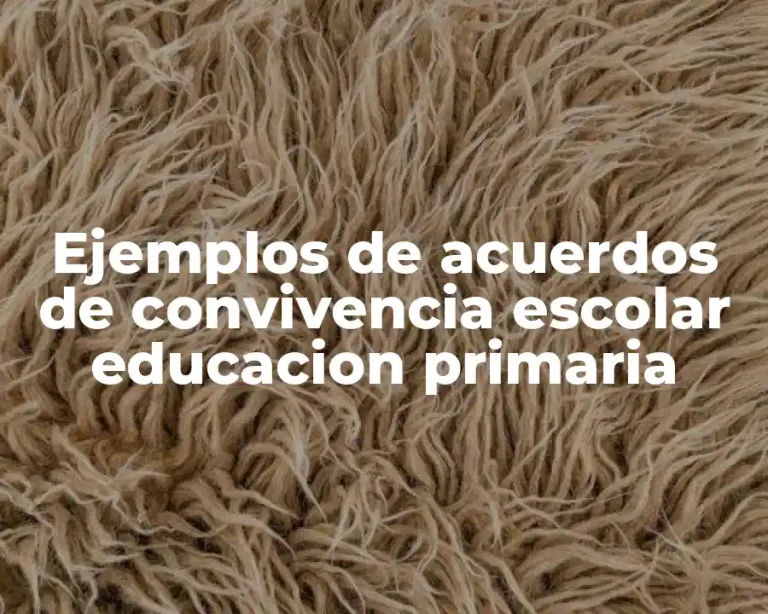 Ejemplos de acuerdos de convivencia escolar educacion primaria