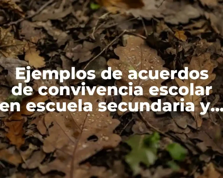 Ejemplos de acuerdos de convivencia escolar en escuela secundaria y Significado