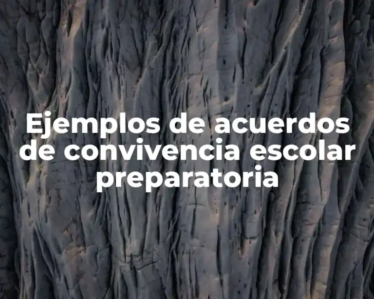 Ejemplos de acuerdos de convivencia escolar preparatoria