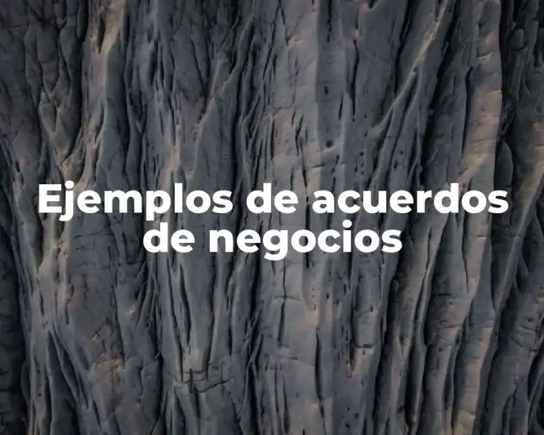 Ejemplos de acuerdos de negocios