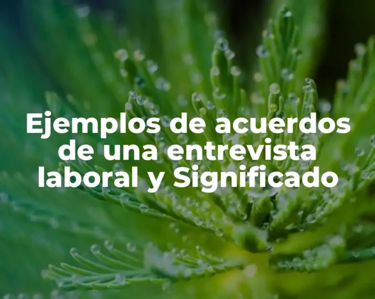 Ejemplos de acuerdos de una entrevista laboral y Significado