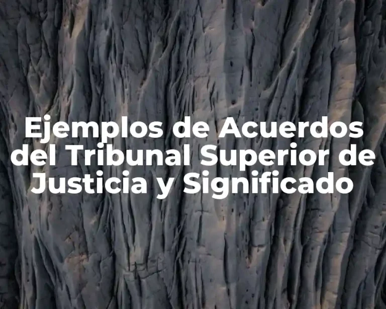 Ejemplos de Acuerdos del Tribunal Superior de Justicia y Significado