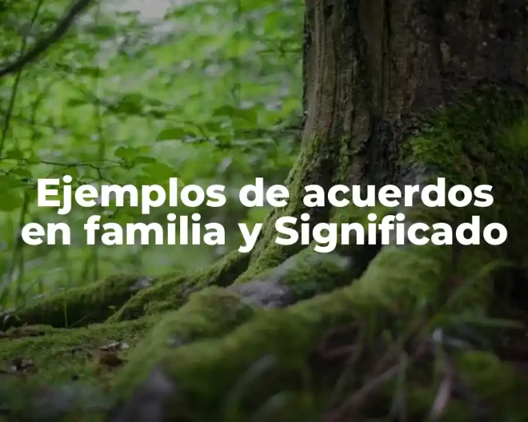 Ejemplos de acuerdos en familia y Significado
