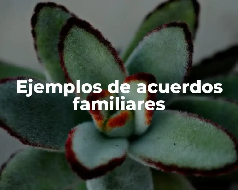 Ejemplos de acuerdos familiares