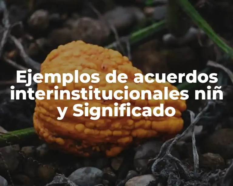 Ejemplos de acuerdos interinstitucionales niñ y Significado