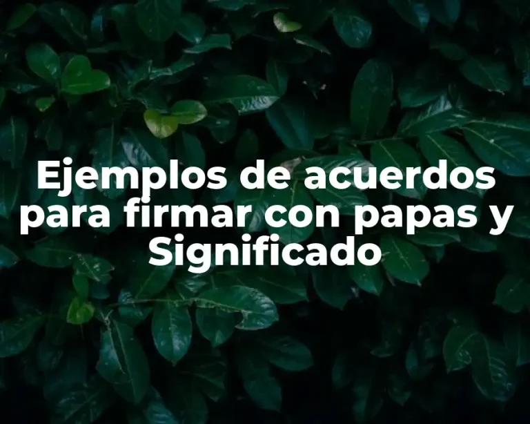 Ejemplos de acuerdos para firmar con papas y Significado