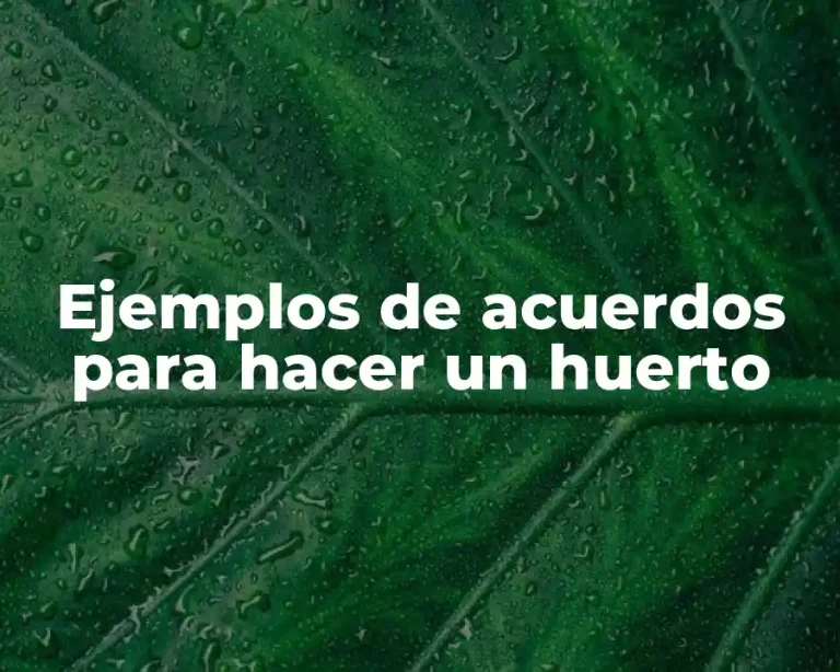 Ejemplos de acuerdos para hacer un huerto