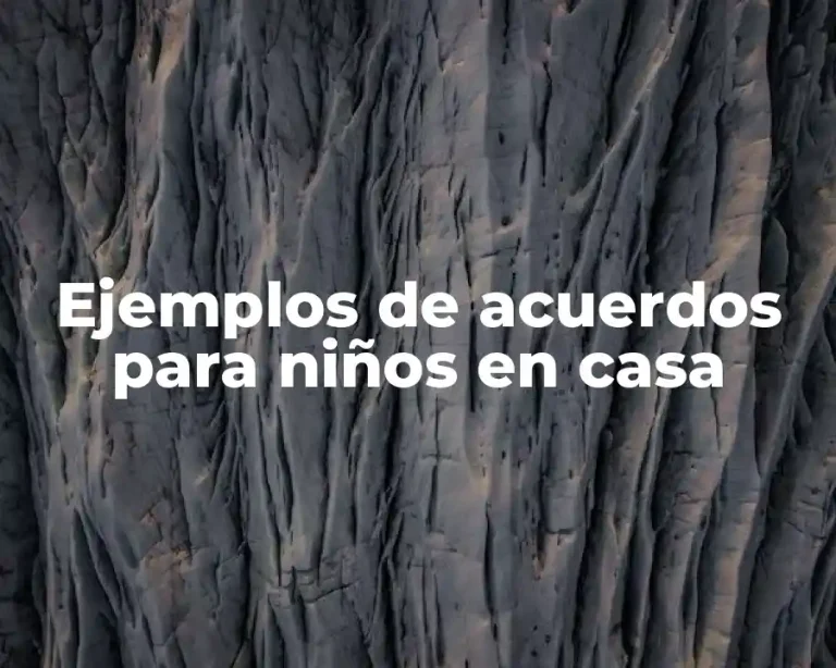 Ejemplos de acuerdos para niños en casa