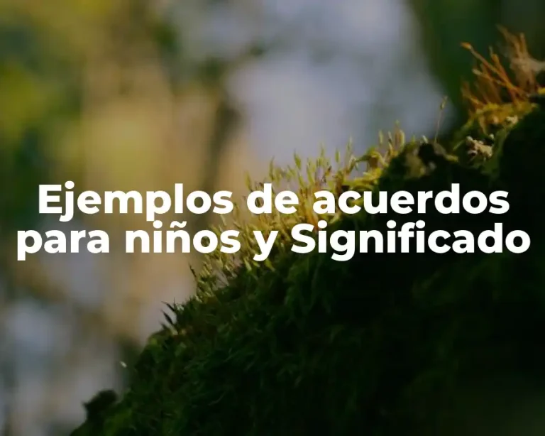 Ejemplos de acuerdos para niños y Significado