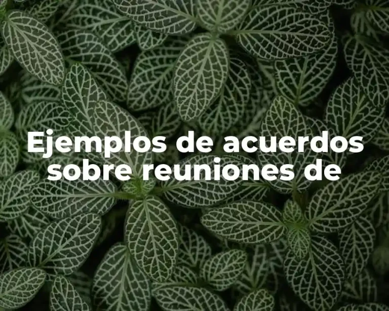 Ejemplos de acuerdos sobre reuniones de