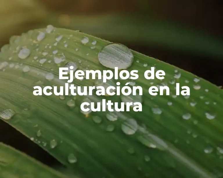 Ejemplos de aculturación en la cultura