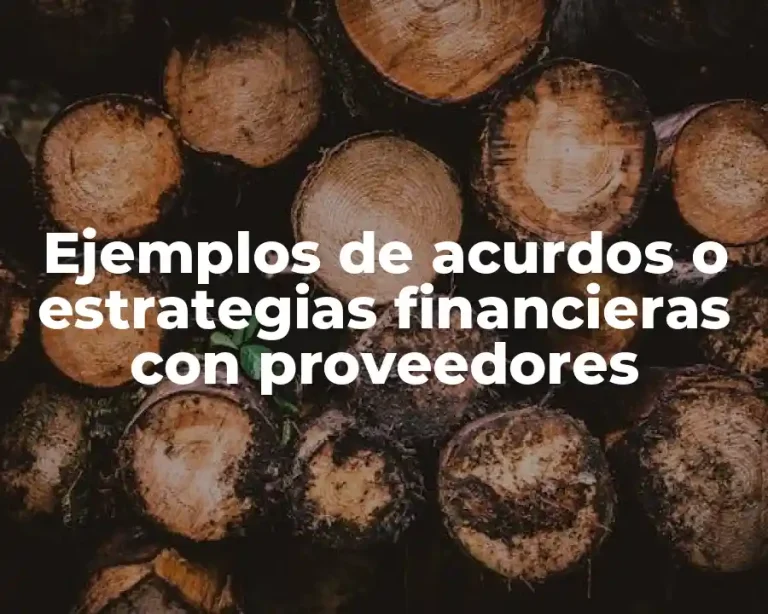 Ejemplos de acurdos o estrategias financieras con proveedores