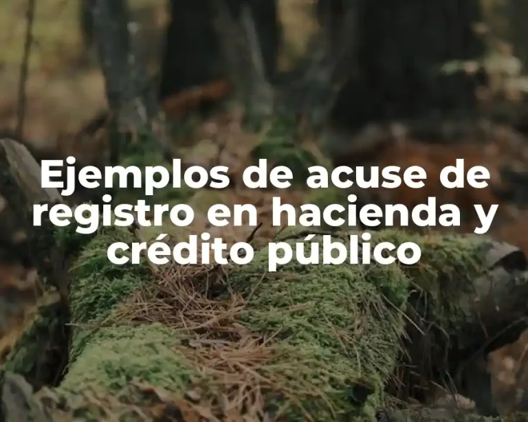 Ejemplos de acuse de registro en hacienda y crédito público