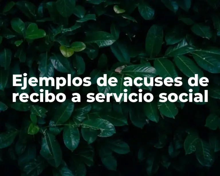 Ejemplos de acuses de recibo a servicio social